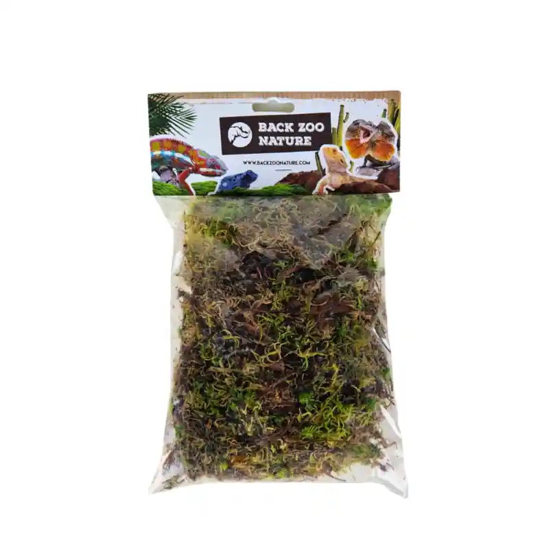 Back Zoo Nature Spagnum Mos Beperkt Aanbod