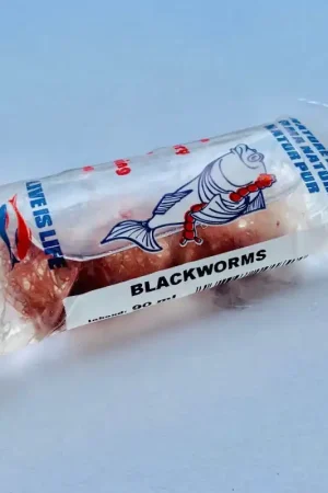 Blackworms - Broze Slibwormen 90 ml Laatste Versie