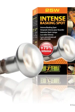 Exo Terra Intense Basking Spot Lamp 25 watt Nu Kopen