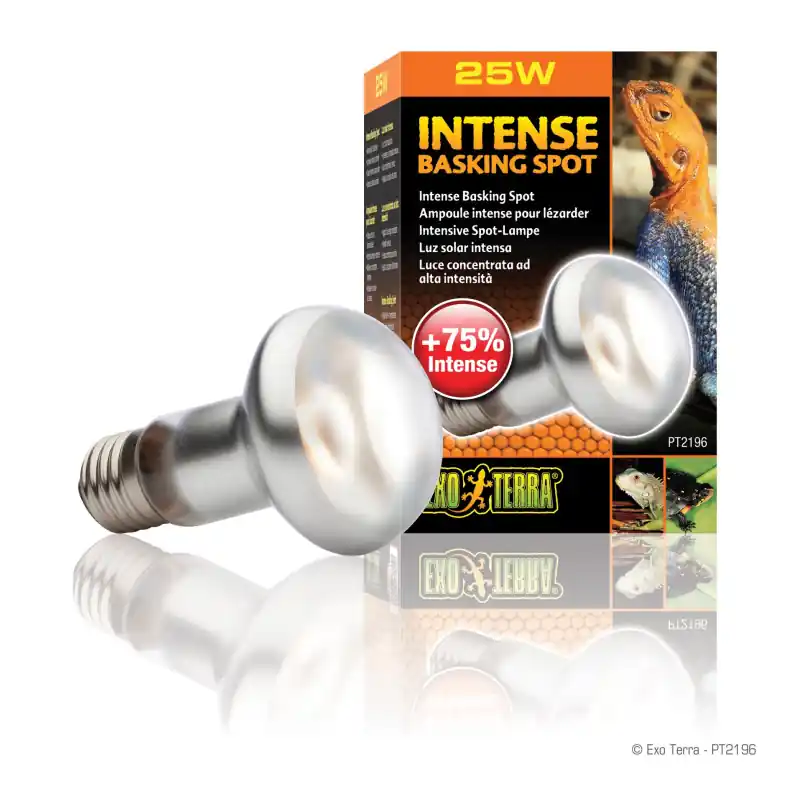 Exo Terra Intense Basking Spot Lamp 25 watt Nu Kopen