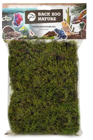 Back Zoo Nature Forest Moss for Reptiles Betrouwbaar