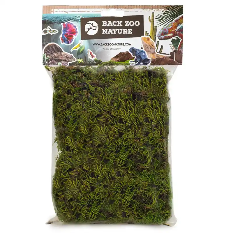 Back Zoo Nature Forest Moss for Reptiles Betrouwbaar