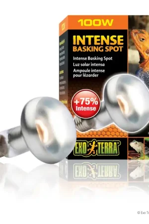 Exo Terra Intense Basking Spot Lamp 100 watt Express Levering