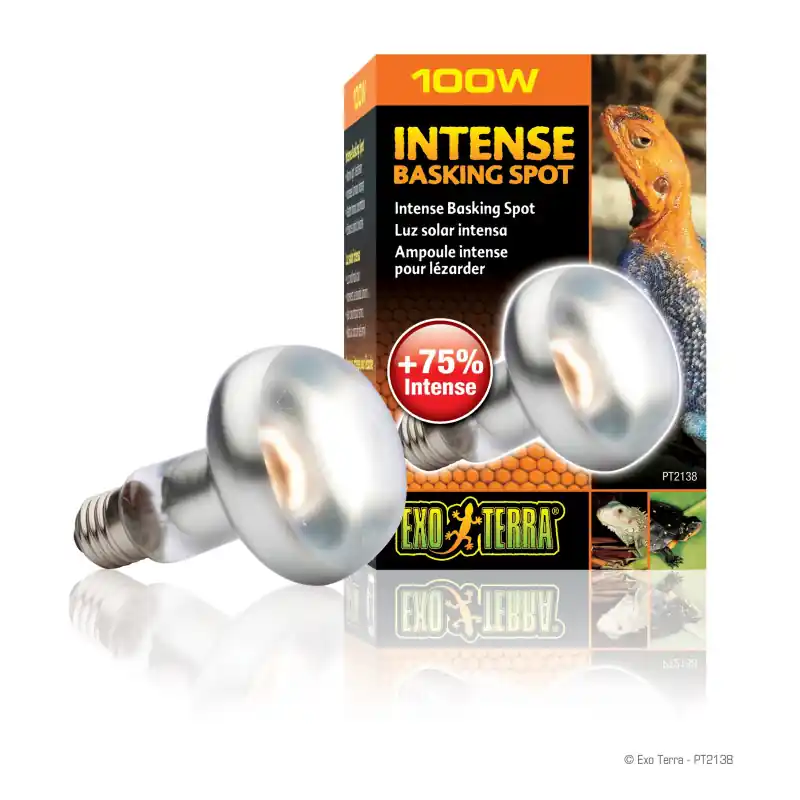 Exo Terra Intense Basking Spot Lamp 100 watt Express Levering