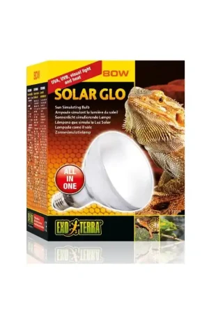 Exo Terra Terra Solar Glo Heat & UVB 80W Alleen Vandaag