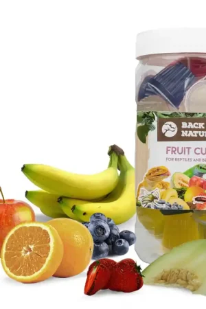 Back Zoo Nature Fruitkuipjes Mix voor Reptielen en Kevers 24 stuks Beperkte Voorraad