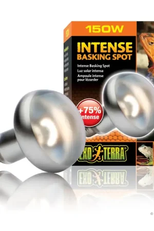 Exo Terra Intense Basking Spot Lamp 150 watt Laatste Kans