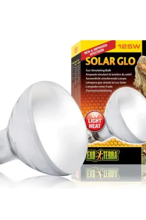 Gecertificeerd Exo Terra Terra Solar Glo Heat & UVB 125W