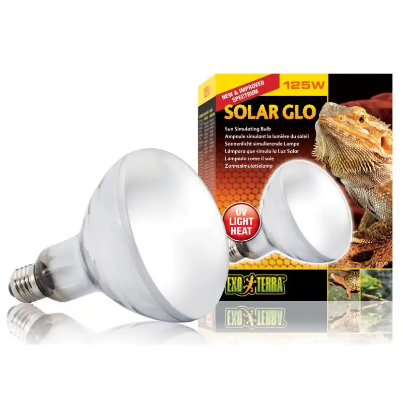 Gecertificeerd Exo Terra Terra Solar Glo Heat & UVB 125W