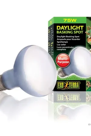 Koop Vandaag Exo Terra Daylight Basking Spot Lamp 75 watt