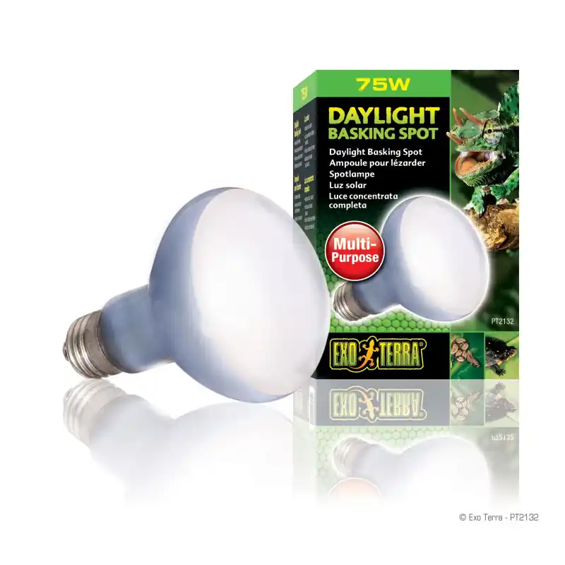 Koop Vandaag Exo Terra Daylight Basking Spot Lamp 75 watt