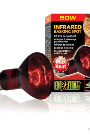 Exo Terra Infrared Basking Spot 50 watt Populair