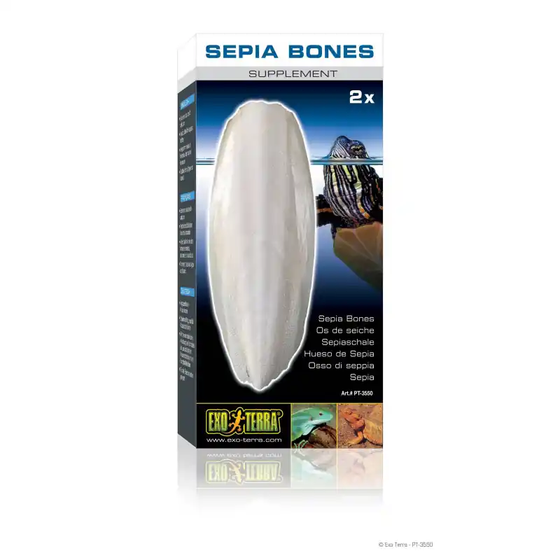 Exo Terra Cuttlebone for Turtles Beste Prijs