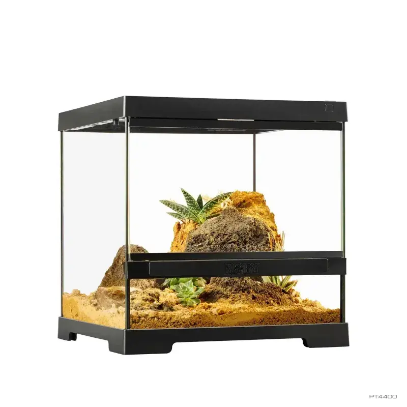 Laatste Versie Exo Terra Pro Terrarium X-Small Wide – 30x30x30 cm