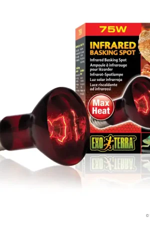 Exo Terra Infrared Basking Spot 75 watt Beste Prijs