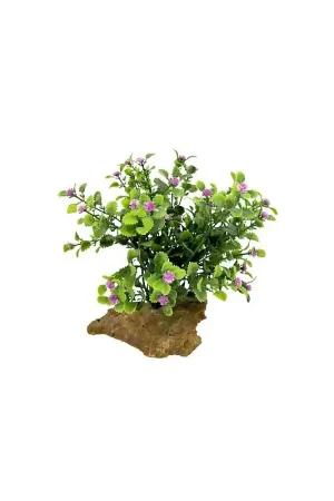 Lucky Reptile Desert Bush Laatste Versie