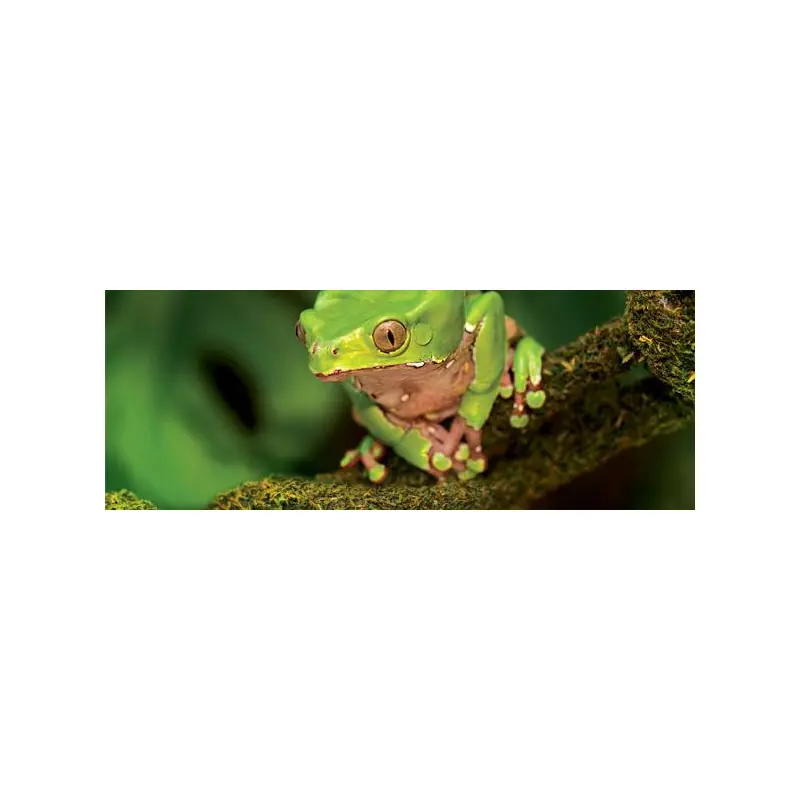Exo Terra Moss Bendable Vine 6ft Small Weekendaanbieding