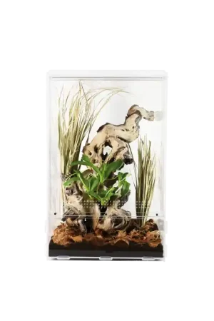 Lucky Reptile LifeTarrium 15x15x25 cm Lage Prijs