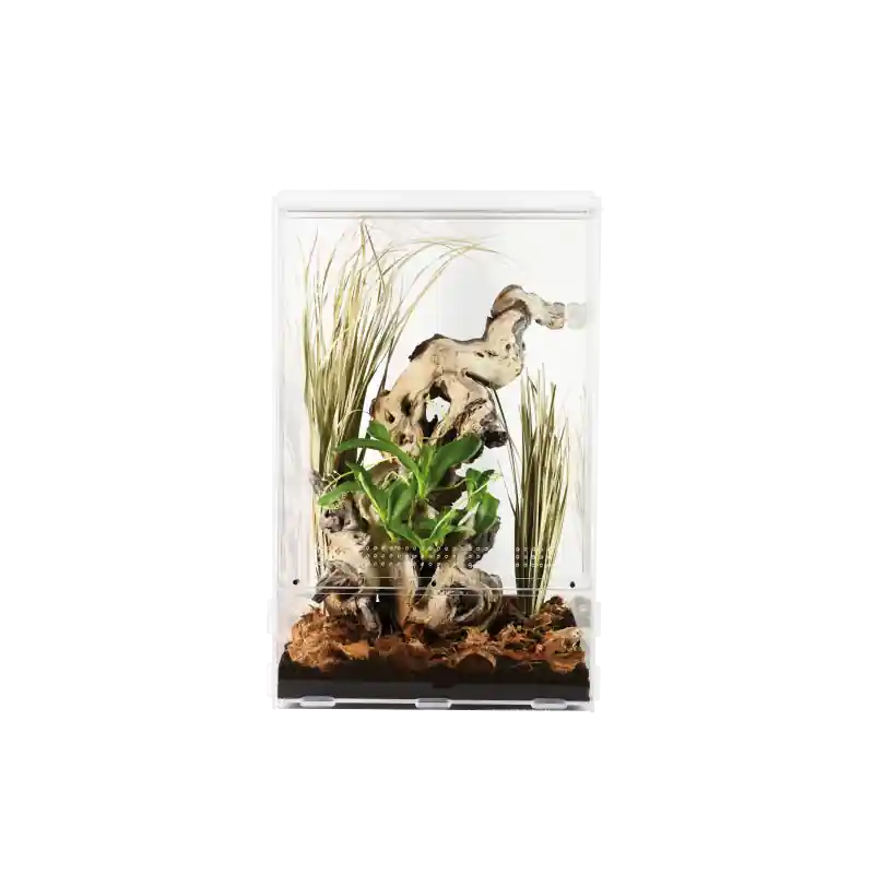 Lucky Reptile LifeTarrium 15x15x25 cm Lage Prijs