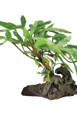Betaalbaar Repto Plant On Deco Three Tip Leaf