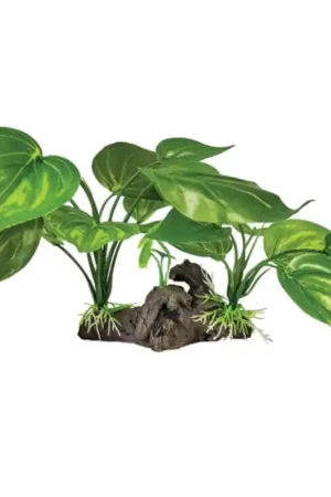 Repto Plant On Deco Lichtgroen Exclusieve Aanbieding