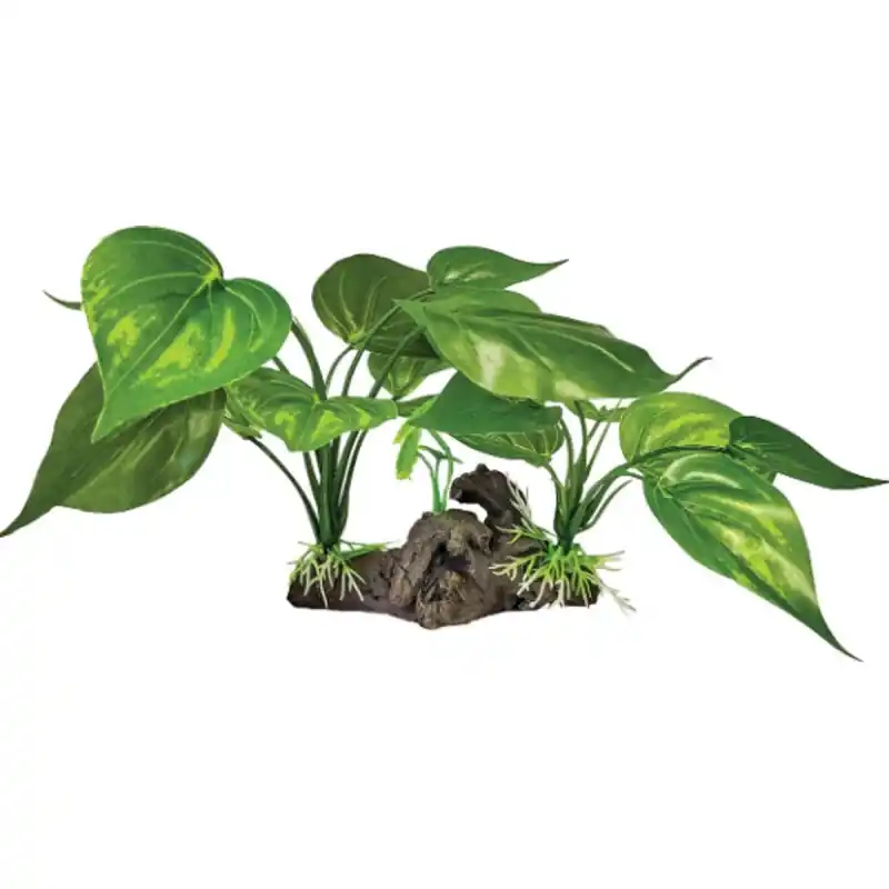 Repto Plant On Deco Lichtgroen Exclusieve Aanbieding