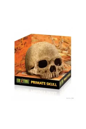 Exo Terra Primate Skull Primaat Beste Prijs