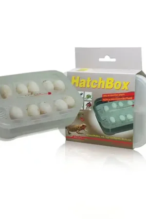 Gecertificeerd Lucky Reptile HatchBox