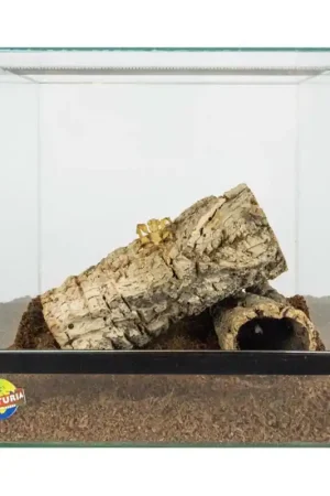 Favoriet Terrarium met valdeur 30x30x30 cm