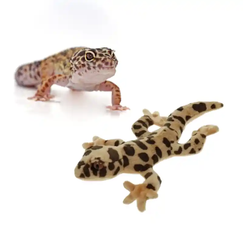 Favoriet Pluche Luipaard Gekko Knuffel 27cm