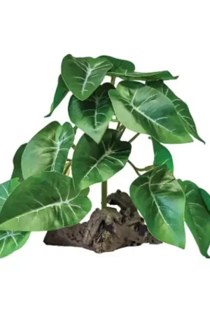 Laatste Versie Repto Plant On Deco Elephant Groen