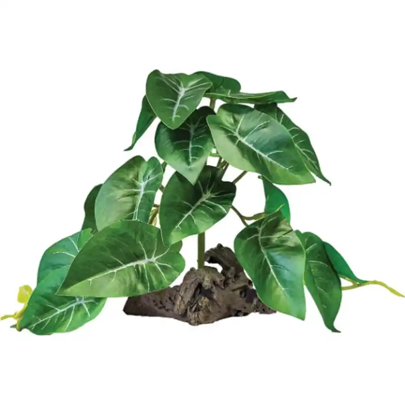 Laatste Versie Repto Plant On Deco Elephant Groen