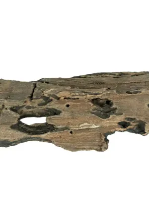Beperkt Aanbod Back Zoo Nature Driftwood Small