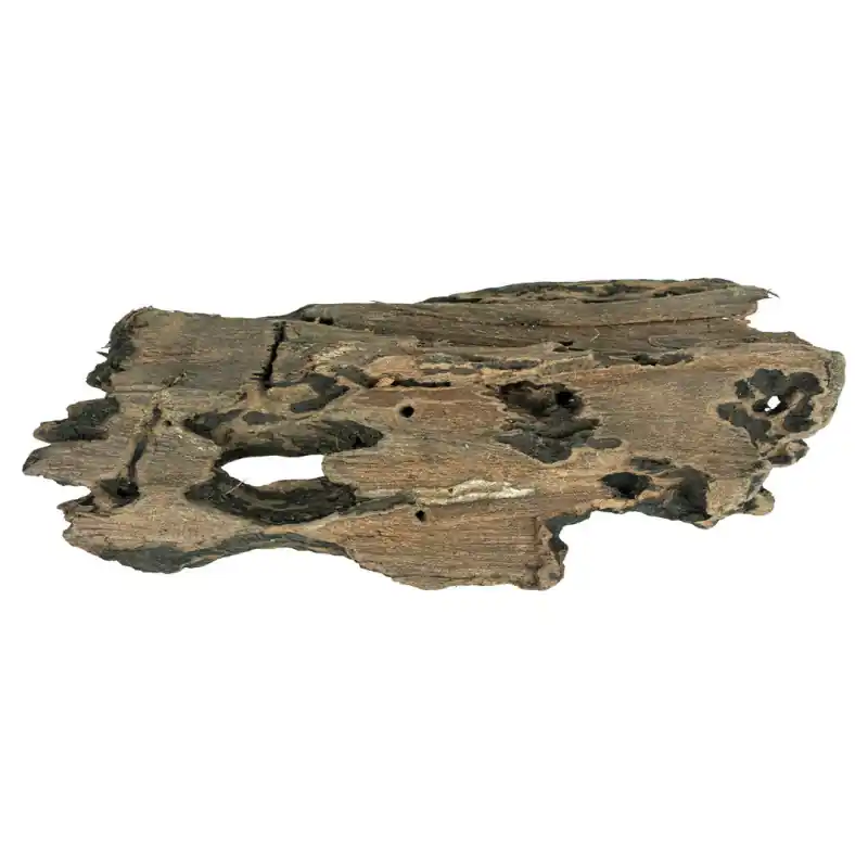 Beperkt Aanbod Back Zoo Nature Driftwood Small