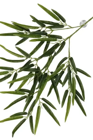 Terra Della Hangende Plant Bamboe Groen Speciale Aanbieding