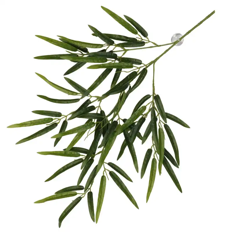 Terra Della Hangende Plant Bamboe Groen Speciale Aanbieding