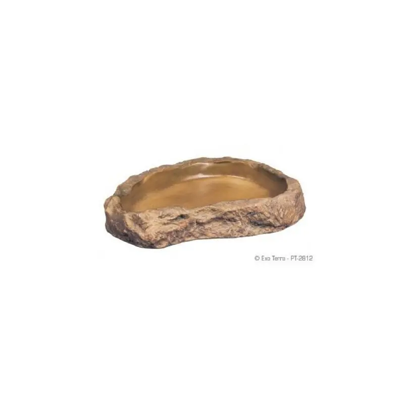 Exo Terra Feeding Dish Large Shop Nu