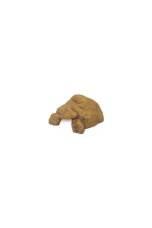 Exo Terra Reptile Cave X-Large Tijdelijk Beschikbaar