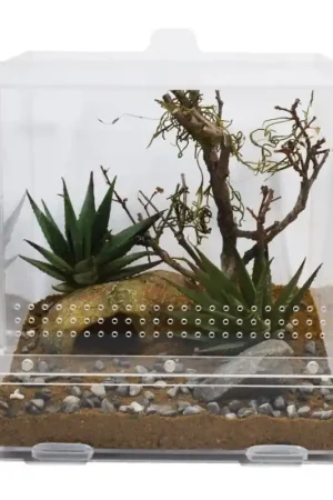 Koop Online Lucky Reptile LifeTarrium 20x20x20 cm
