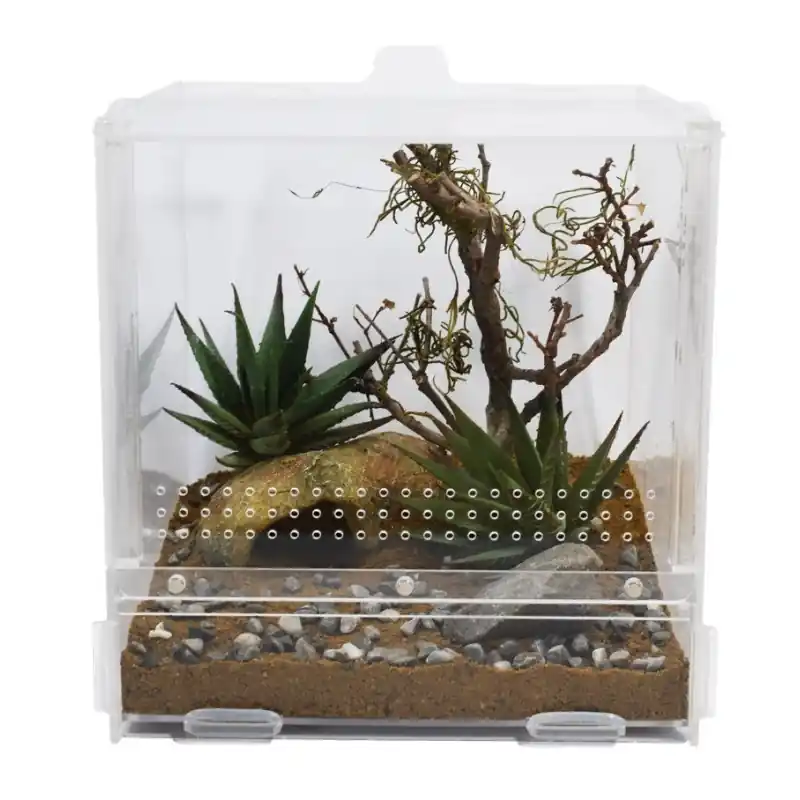 Koop Online Lucky Reptile LifeTarrium 20x20x20 cm