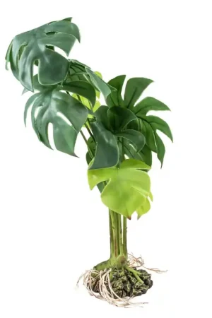 Terra Della Monstera Groen Small 15x15x28cm Favoriet