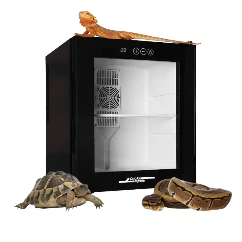 Dagaanbieding Lucky Reptile Herp Nursery III - Broedstoof voor Reptielen