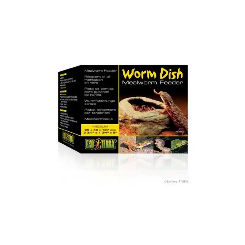 Must-Have Exo Terra Worm Dish