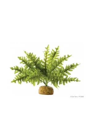Exo Terra Boston Fern Small Exclusieve Aanbieding