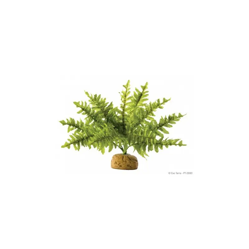 Exo Terra Boston Fern Small Exclusieve Aanbieding