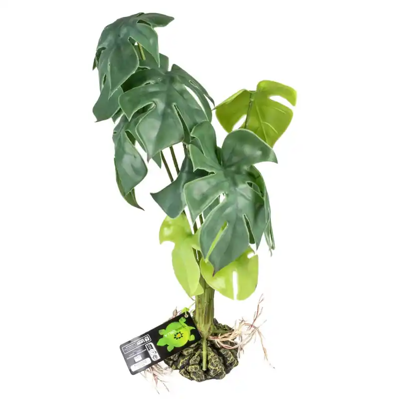 Laatste Versie Terra Della Monstera Groen Large 20x20x45cm