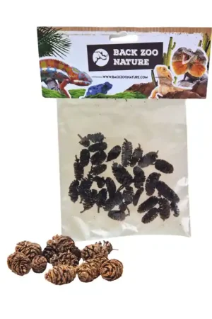 Beperkte Voorraad Back Zoo Nature Elzenproppen 20gram