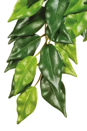 Exo Terra Silk Plant Medium Ficus Superprijs