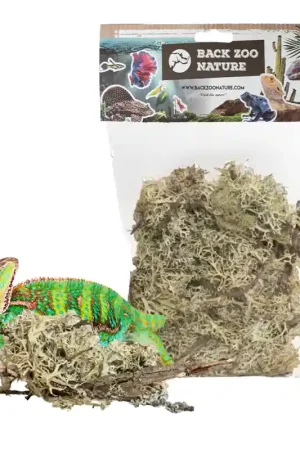 Back Zoo Nature Branch Moss for Reptiles Koopje