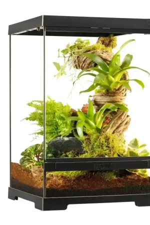 Express Levering Exo Terra Pro Terrarium X-Small Tall – 30X30X45 cm